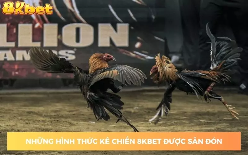 cac-sanh-ke-chien-8kbet-duoc-san-don-