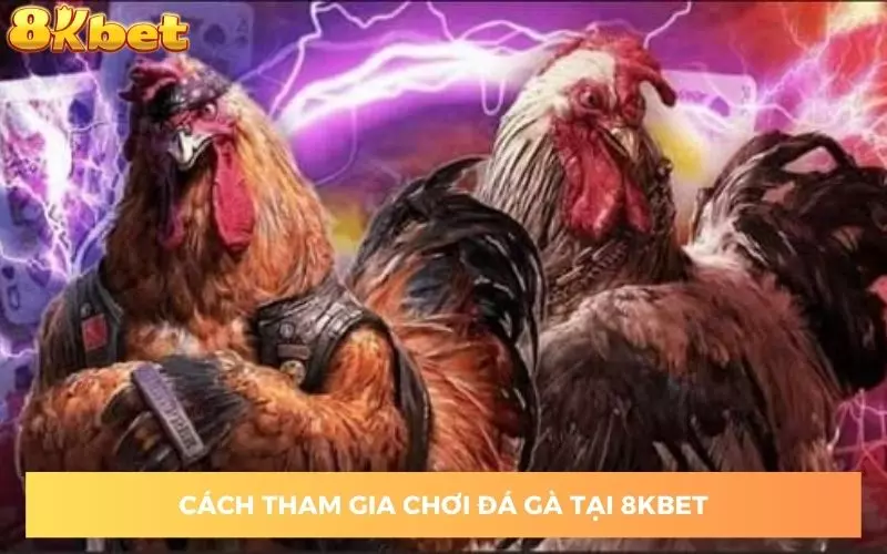 huong-dan-theo-doi-va-dat-cuoc-tai-sanh-da-ga-