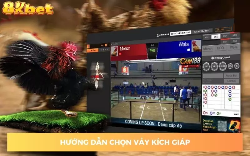 nhan-dang-vay-kich-giap