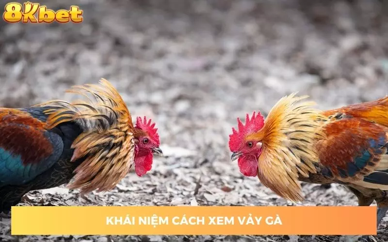 thong-tin-chung-ve-vay-ga-ban-can-biet