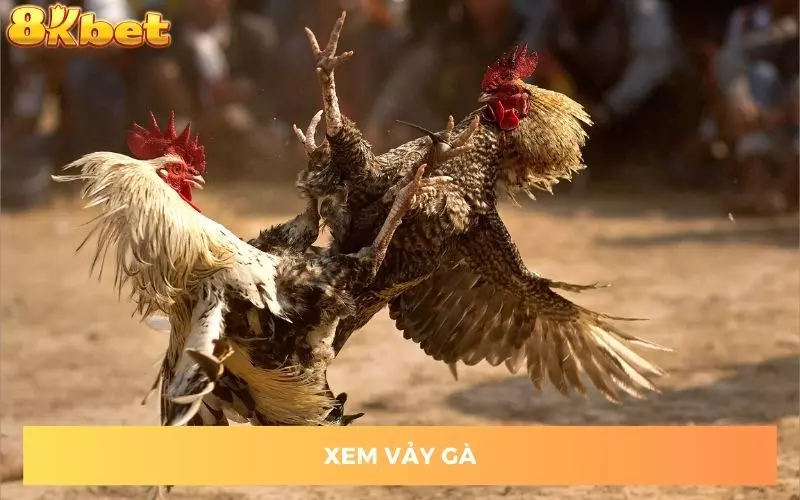 xem-vay-ga